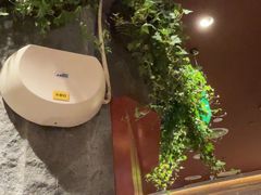 -巴奴毛肚火锅(龙湖锦艺城店)