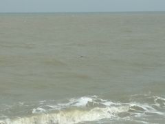 -白沙门生态公园