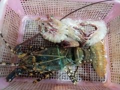 -班赞海鲜市场
