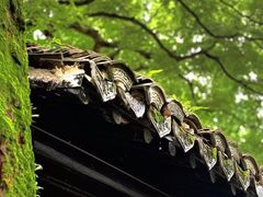 -绮园景区