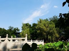 -莲湖公园