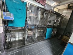 -康爱犬猫诊所·牙专科·骨外科·影像内科(丰宁店)