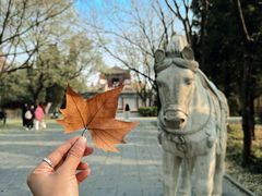 -洛阳白马寺