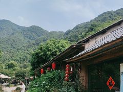 -午潮山国家森林公园