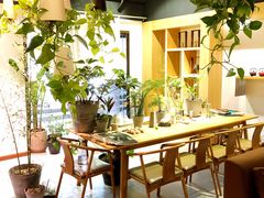 -柴务处·柴犬主题狗咖