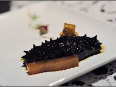 葱烤刺参配厚感鱼唇-西郊5号·Maggie 5
