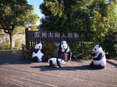 -太湖湖滨国家湿地公园-停车场