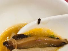 蘑菇汤莜面鱼鱼-西贝(金桥店)