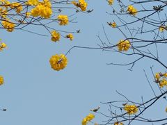 -火炉山森林公园