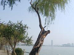 -无锡蠡湖国家湿地公园-蠡园