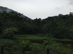 -呀诺达热带雨林