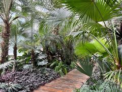 -国家植物园南园