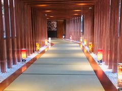 -重庆南山海昌汤都