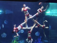 -泉城欧乐堡海洋极地世界