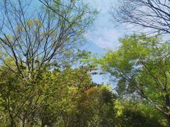 -BUND·FIVE外滩5号(天际店)