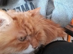 -平行世界·猫咖(首经贸店)