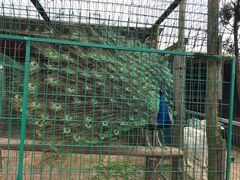 -明珠湖天鹅苑·农家菜馆