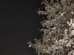 -重庆中央公园(渝北区)