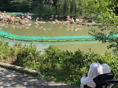 -宁波野生动物园