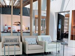 -虹桥机场国航贵宾室v8