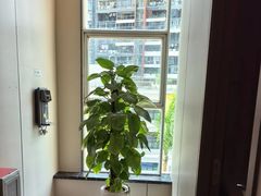 -通透堂中医·精准推拿(旗舰店)