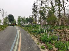 -白鹭湾湿地公园