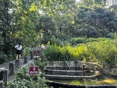 -成都市活水公园