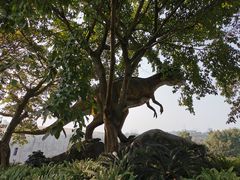 -自贡恐龙博物馆