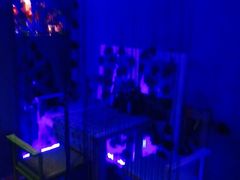 -星宿秘码(鼓浪屿老店)