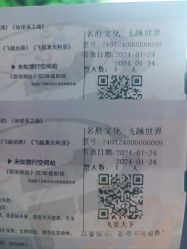 -飞览天下沉浸式飞行体验(北京旗舰店)