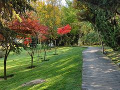 -棒棰岛宾馆景区