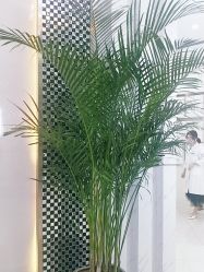 -痘敏医生专业祛痘·肌肤修复连锁