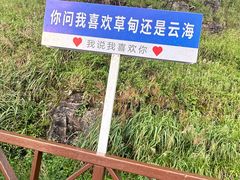 -萍乡武功山风景名胜区