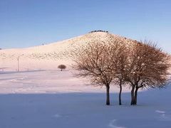-塞罕坝国家级自然保护区