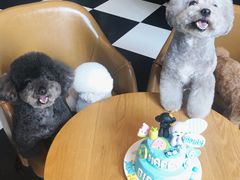 -Oh My Dog宠物沙龙(伊珊娜皮毛护理店)