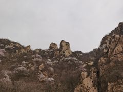 -大岭沟猕猴桃谷风景区
