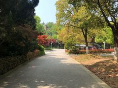 -白马涧龙池景区