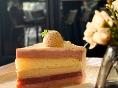 -gaga(深圳南山益田假日广场店)