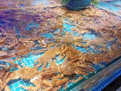 -驻海渔市(置信店)