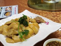 招牌湛江白切鸡-新高记·粤菜·湛江鸡(南头古城店)