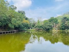 -番禺大夫山森林公园