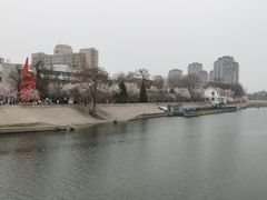 -桃花堤公园