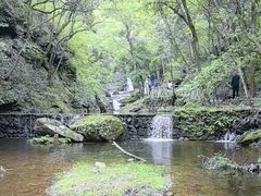-燕子河大峡谷天坑仙境
