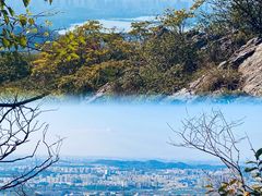 -紫金山山顶公园