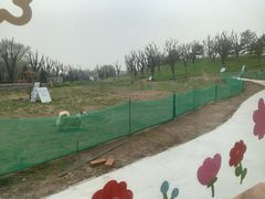 -小意思咖啡店(草桥店)