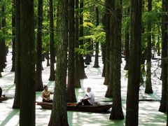 -渌洋湖湿地公园