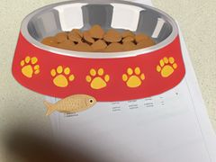 -瑞派康怡24h宠物医院·犬猫医疗中心·微创绝育(瑞景分院)