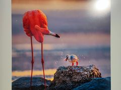 -罗红摄影艺术馆