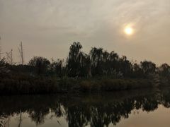 -白鹭湾湿地公园