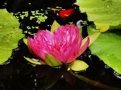 -北京植物园-展览温室